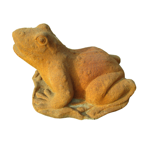 Frog-HY589