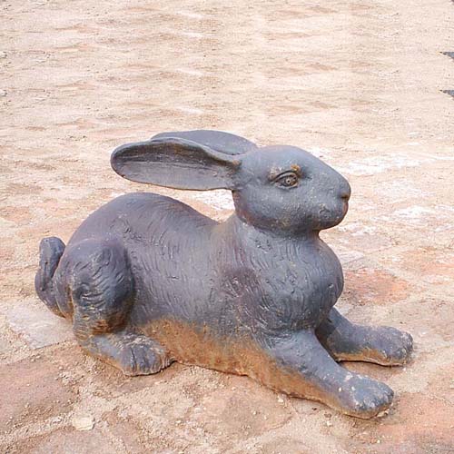 Rabbit-HY682C